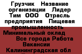 Грузчик › Название организации ­ Лидер Тим, ООО › Отрасль предприятия ­ Пищевая промышленность › Минимальный оклад ­ 20 000 - Все города Работа » Вакансии   . Калининградская обл.,Приморск г.